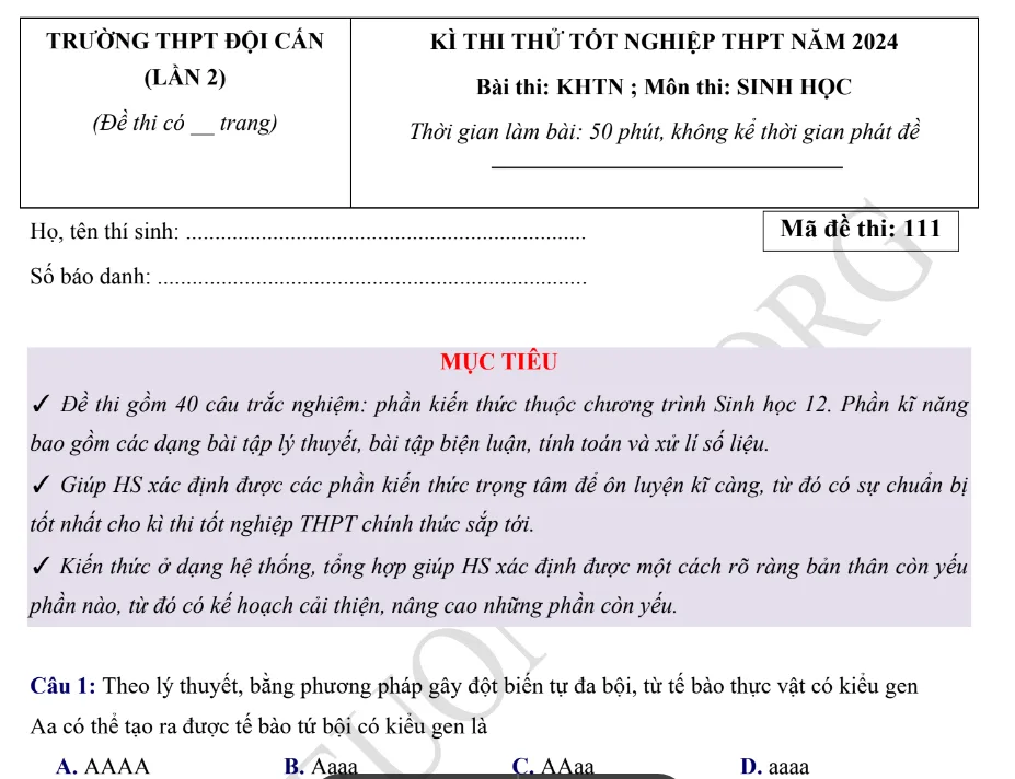 Đề thi thử TN THPT môn Sinh học 2024 - THPT Đội Cấn lần 2