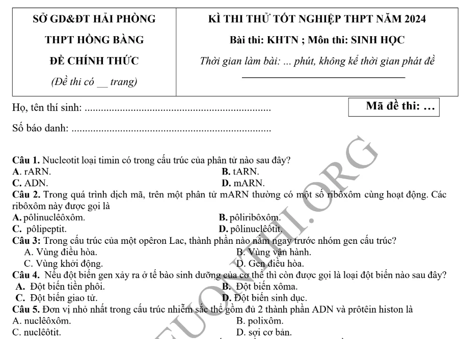 Giới thiệu Đề thi thử TN THPT môn Sinh học 2024 - THPT Hồng Bàng Hải Phòng