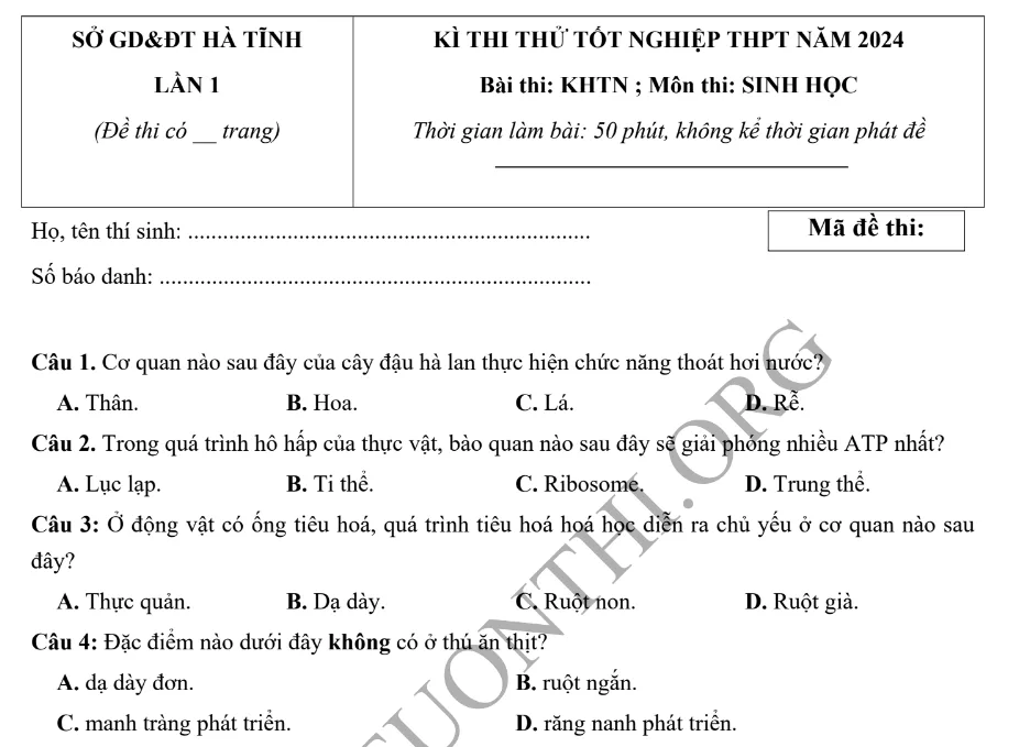 Đề thi thử TN THPT môn Sinh học 2024 - Sở Hà Tĩnh