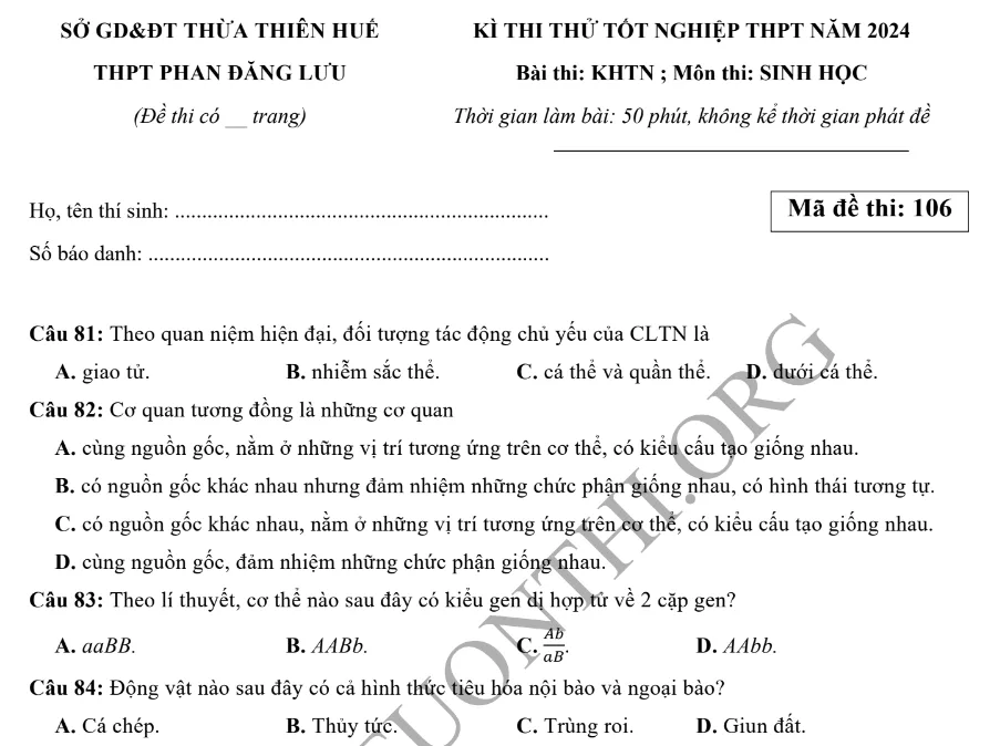 Đề thi thử TN THPT môn Sinh học 2024 - THPT Phan Đăng Lưu - Huế