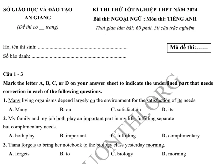 Giới thiệu Đề thi thử TN THPT môn Tiếng Anh 2024 - Sở An Giang