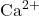 \text{Ca}^{2+}